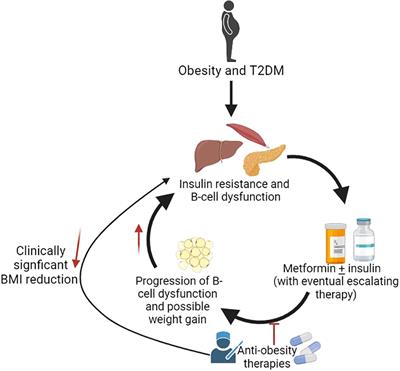 Anti-obesity pharmacotherapy for treatment of pediatric type 2 diabetes: Review of the literature and lessons learned from adults